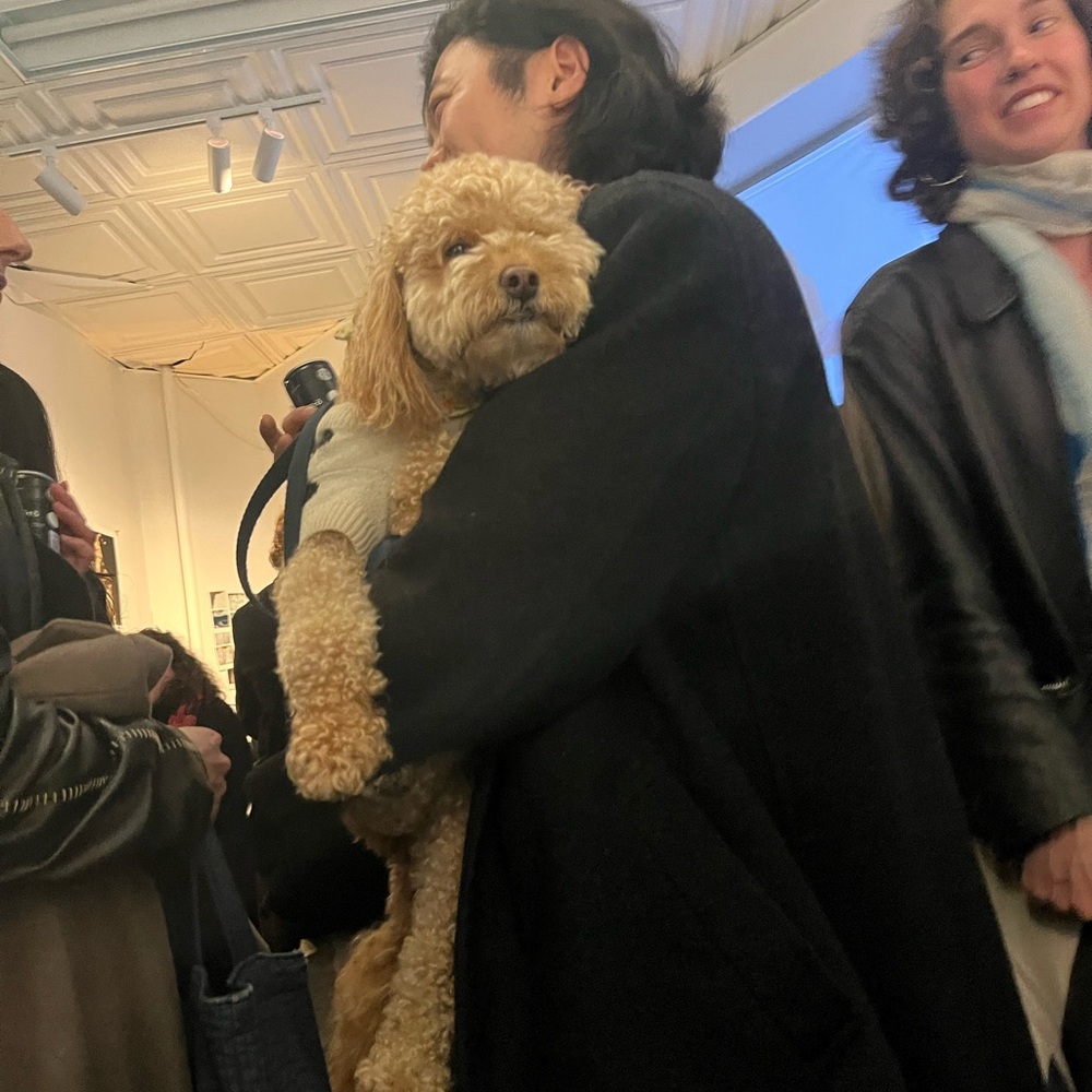 this pic of a dog at the art gallery